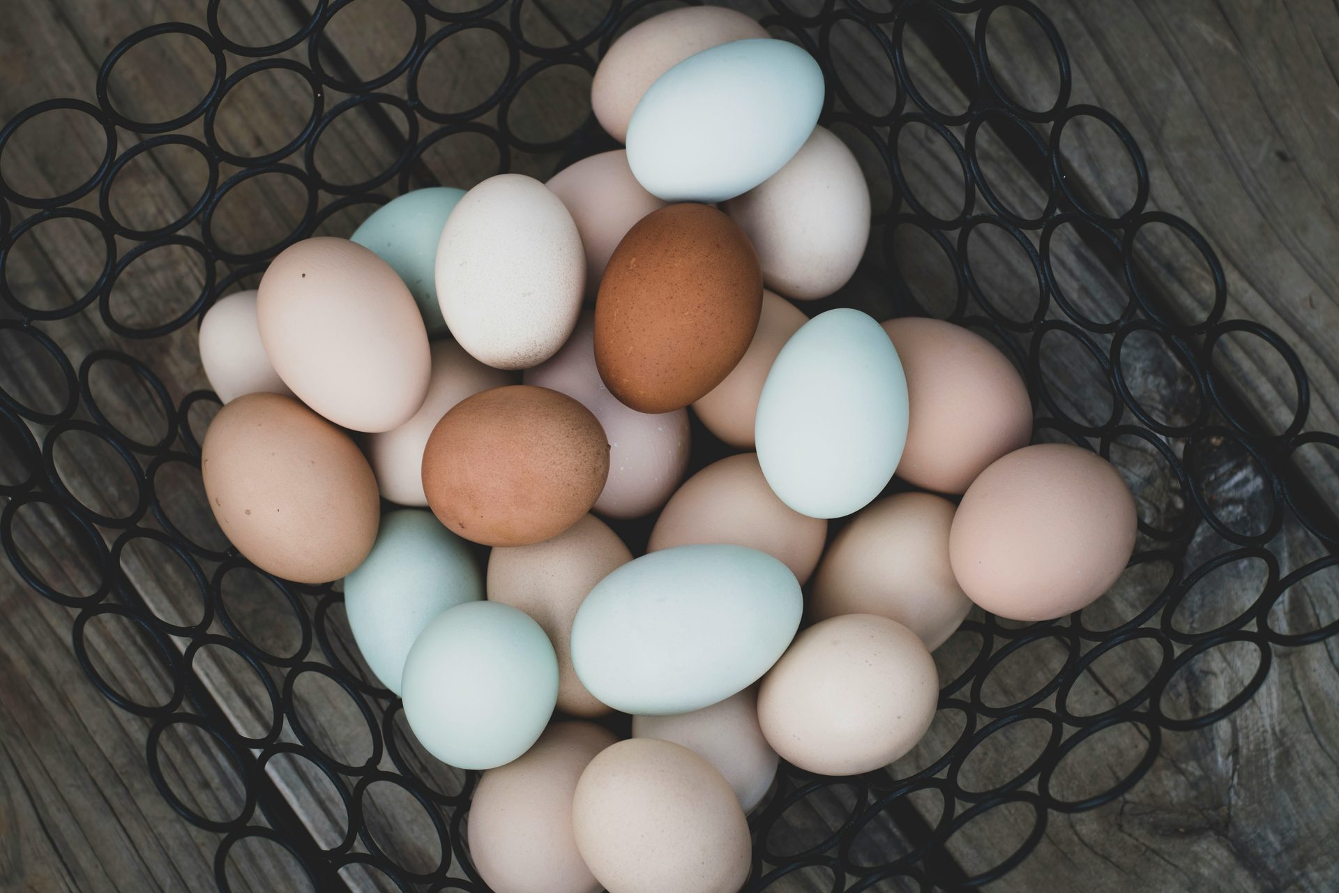 Poultry farming in Kenya